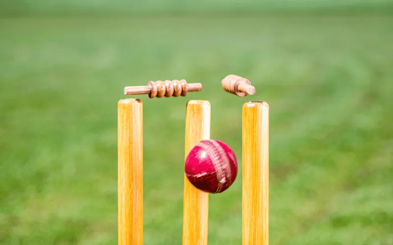 cricket score